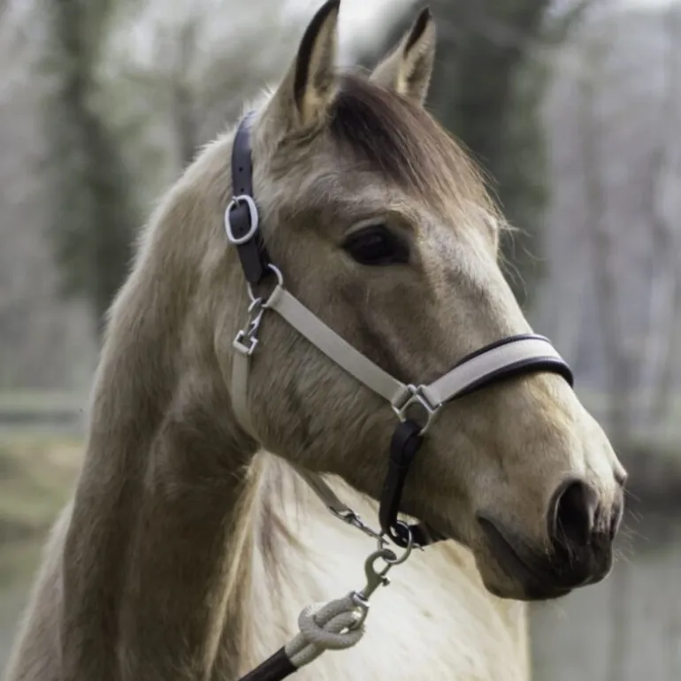 Licol cheval 2 en 1 Transport et Grooming La Cense - Dy'on