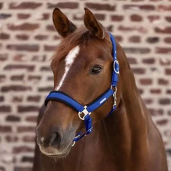 Licol cheval Breath - Waldhausen