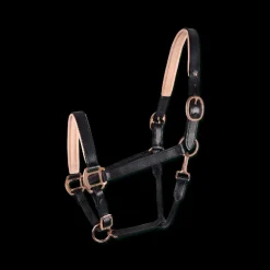 Licol cheval cuir X-Line Rosé - Waldhausen