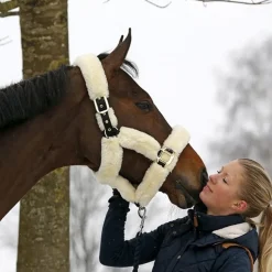 Licol cheval doublé mouton synthétique - Kentucky