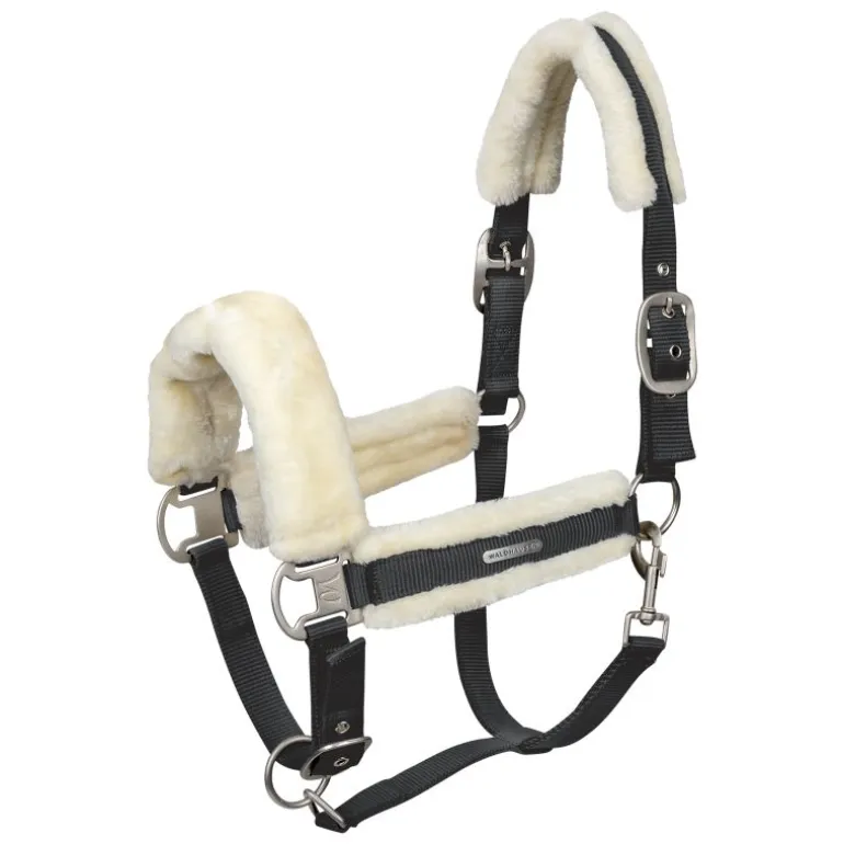 Licol cheval doublure en mouton Soft - Waldhausen