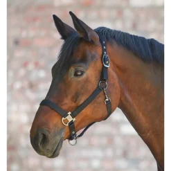 Licol cheval Gloomy double soft - Waldhausen