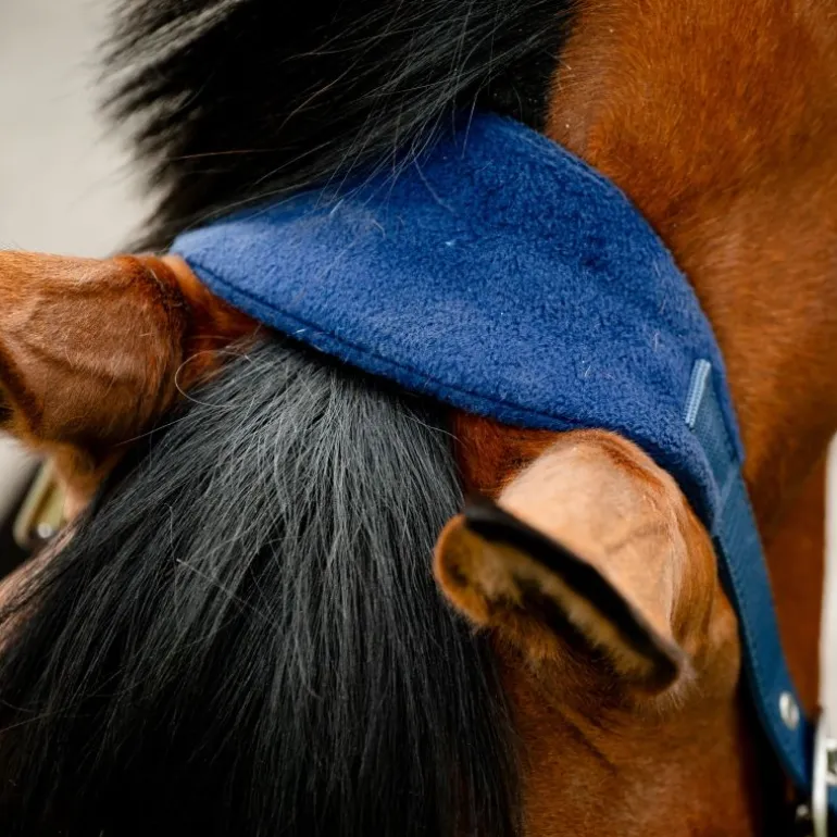 Licol cheval Grooming Signature - Horseware