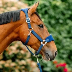 Licol cheval Grooming Signature - Horseware