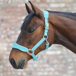 Licol cheval nylon matelassé Soft Premium - Waldhausen