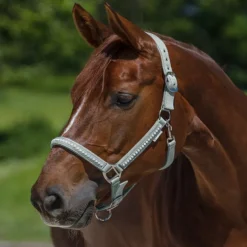 Licol cheval nylon matelassé Crystal - Waldhausen