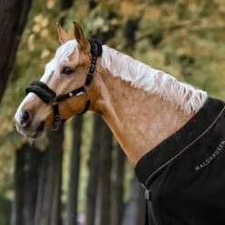 Licol cheval nylon Modern rosé - Waldhausen