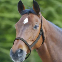 Licol cheval prairie sans boucles - Waldhausen