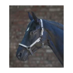 Licol cheval réfléchissant - Waldhausen