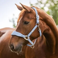 Licol cheval Rom - Waldhausen