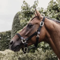 Licol cheval simili-cuir nylon tressé - Kentucky