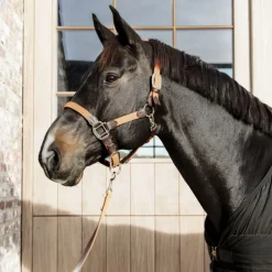 Licol cheval simili-cuir nylon tressé - Kentucky