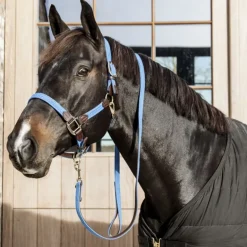 Licol cheval simili-cuir nylon tressé - Kentucky