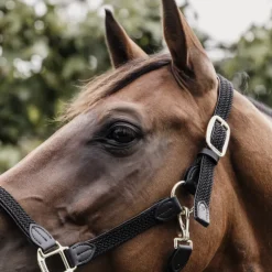 Licol cheval simili-cuir nylon tressé - Kentucky