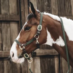 Licol cheval simili-cuir nylon tressé - Kentucky