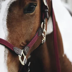 Licol cheval simili-cuir nylon tressé - Kentucky