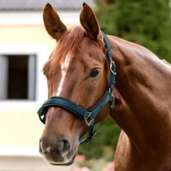 Licol cheval Soft Touch - Waldhausen