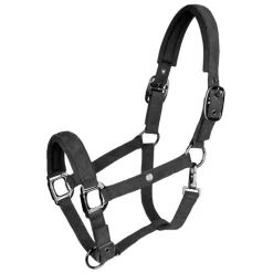 Licol cheval St Gallen - Waldhausen