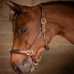 Licol cuir cheval 3 mousquetons - Paddock Sports