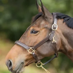 Licol cuir cheval muserolle bombée - HFI