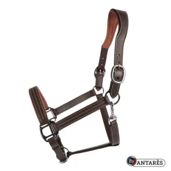 Licol cuir Signature - Antarès