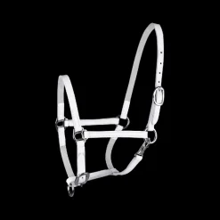 Licol de présentation poulain cuir - Waldhausen