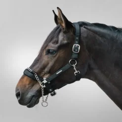 Licol de sécurité cheval à chaine Pro Safety - Waldhausen