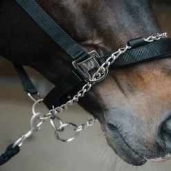 Licol de sécurité cheval à chaine Pro Safety - Waldhausen