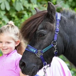 Licol et longe shetland Diva - Harry's Horse