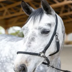 Licol grooming cheval Dialou - Pro-Confort Horsewear