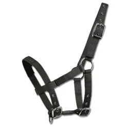 Licol matelassé mini-shetland ou poulain - Waldhausen