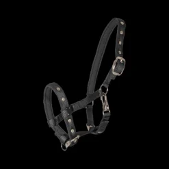 Licol nylon poulain Confort - Waldhausen