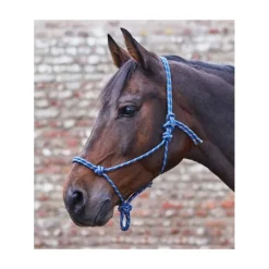 Licol éthologique cheval à nœuds - Waldhausen