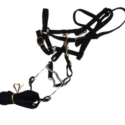 Licol-bride nylon avec rênes - Cavalhorse