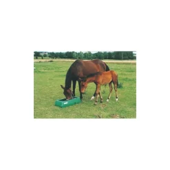 Mangeoire de prairie sélective linéaire jument poulain - La Gée