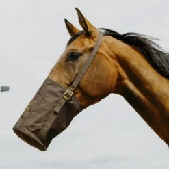 Mangeoire musette en toile cheval
