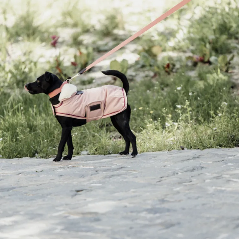 Manteau chien imperméable 160gr - Kentucky Dogwear