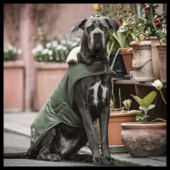 Manteau chien imperméable réfléchissant - Kentucky Dogwear