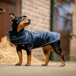 Manteau chien Signature 200g - Horseware