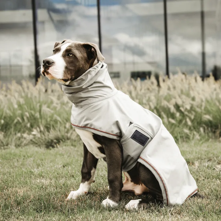 Manteau de pluie pour chien - Kentucky Dogwear
