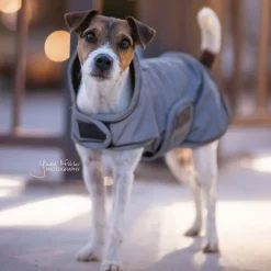 Manteau pour chien imperméable et réfléchissant - Kentucky Dogwear
