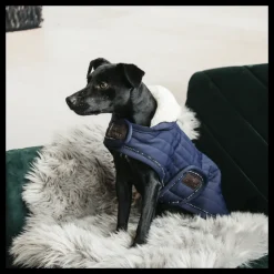 Manteau pour chien matelassé Pearls - Kentucky Dogwear