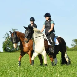 Masque anti-mouche anti-uv cheval de travail Net Relief - Equilibrium