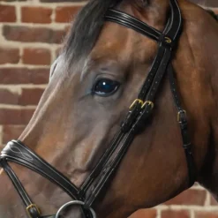 Montants de bridon cheval D Collection - Dy'on