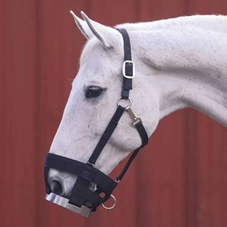 Muselière à disque cheval - Cashel