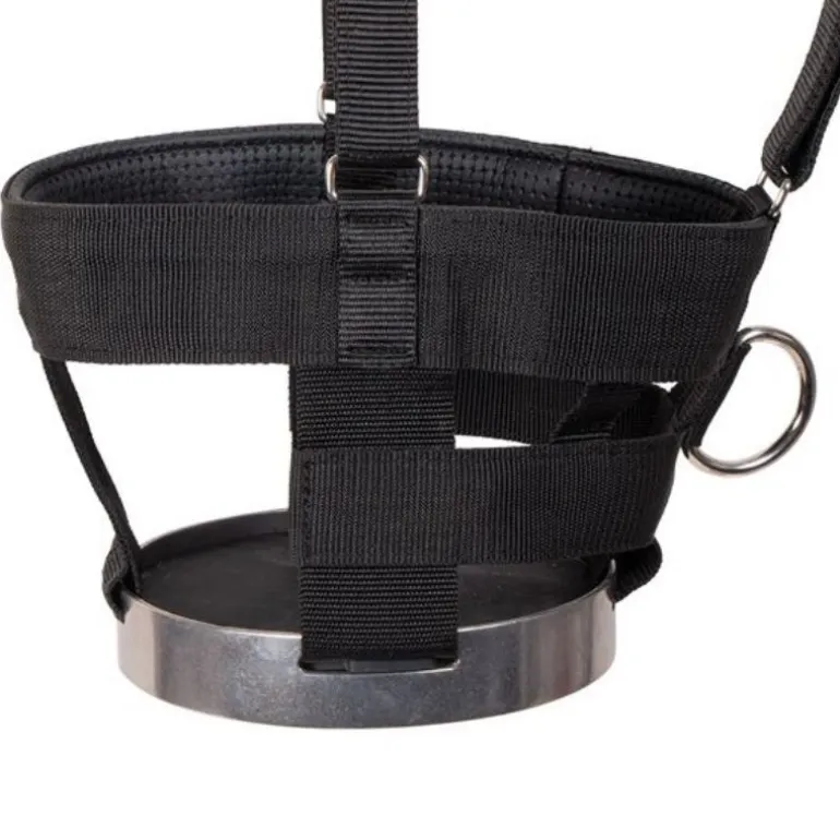 Muselière à disque cheval - Cashel