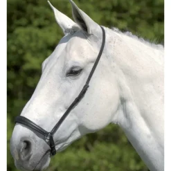 Muserolle allemande S-Line - Waldhausen