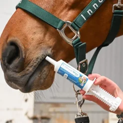 Natural Moov Flash - Confort locomoteur cheval - Natural Innov