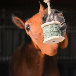 Natural Rock pierre à lécher cheval au céréales - Natural Innov