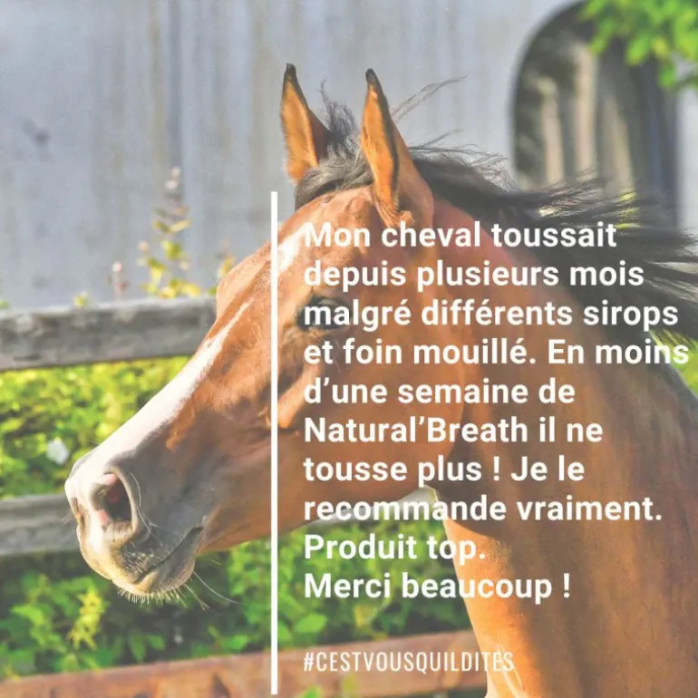 Natural'Breath respiration cheval - Natural'Innov